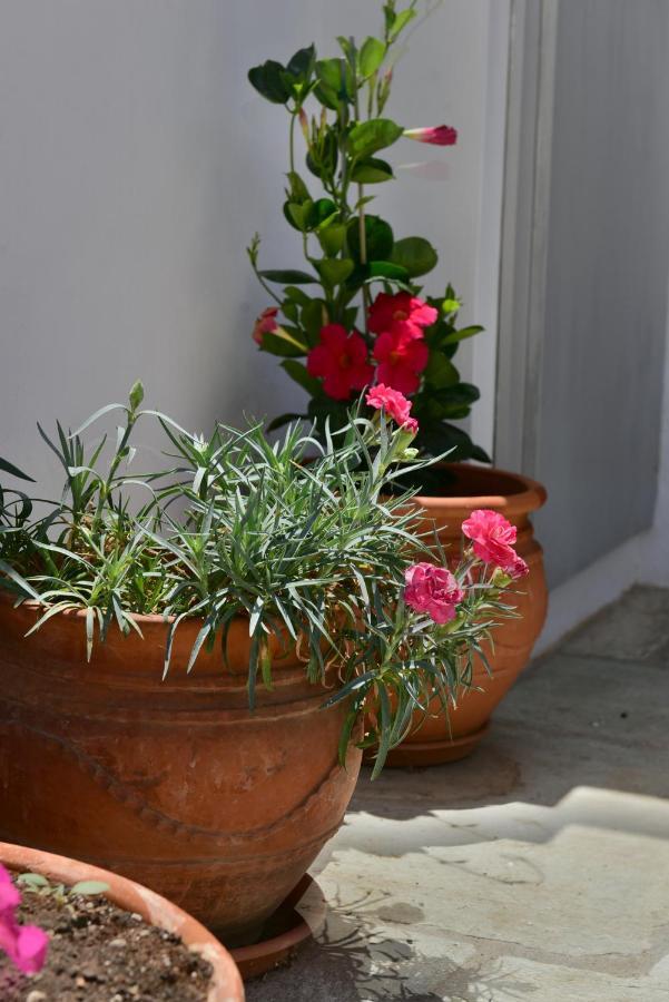 Feel At Home - Family House In Hydra 外观 照片